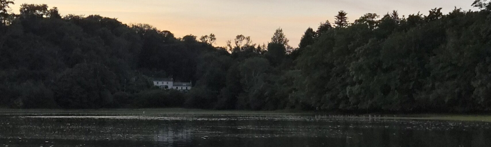 User banner image